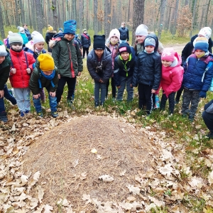 Uczniowie podczas obserwacji mrowiska