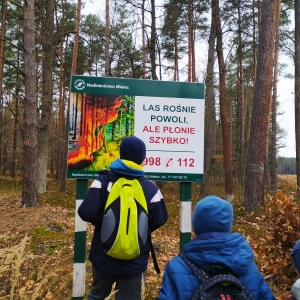 Uczniowie przy tablicy "Las rośnie powoli, ale płonie szybko"