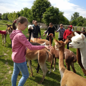 Dzieci karmią zwierzęta