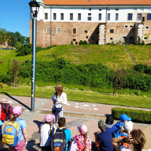 Uczniowie podziwiają architekturę Zamku Królewskiego