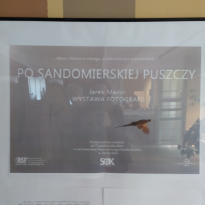 Wystawa fotografii Jarka Mazura "PO SANDOMIERSKIEJ PUSZCZY"