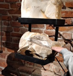 Uczniowie dotykają krzemienia pasiastego