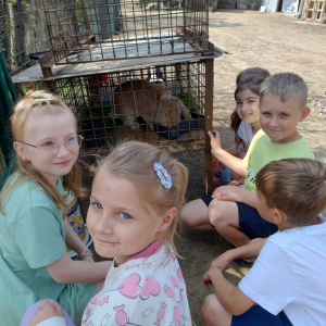 Uczniowie oglądają młode króliczki w klatce.